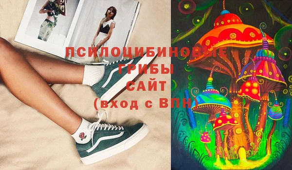мдпв Армянск