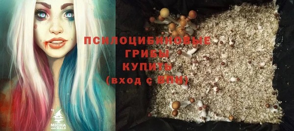 тгк Аркадак