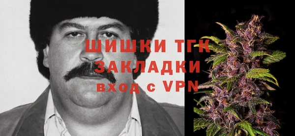 тгк Аркадак